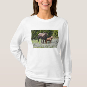 USA, Wyoming, Bighorn Mountains, Elch Alces T-Shirt