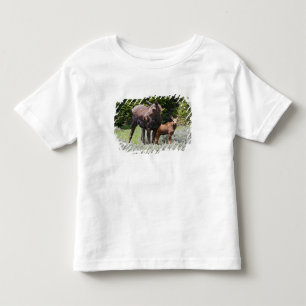 USA, Wyoming, Bighorn Mountains, Elche Alces Kleinkind T-shirt