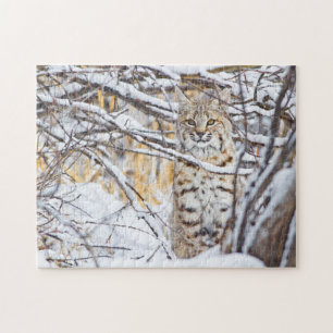 USA, Wyoming, Bobcat Puzzle