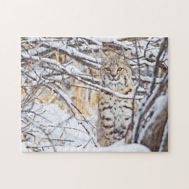 USA, Wyoming, Bobcat Puzzle (Horizontal)