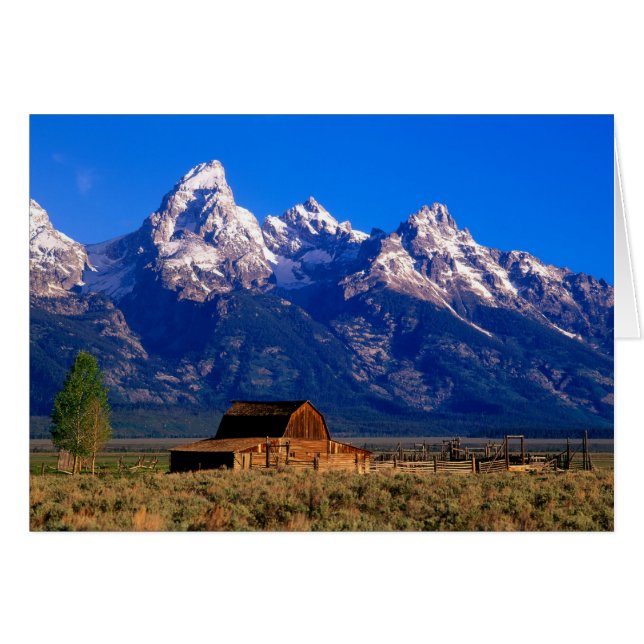 USA, Wyoming, Grand Teton National Park, Morning (Vorderseite (Horizontal))