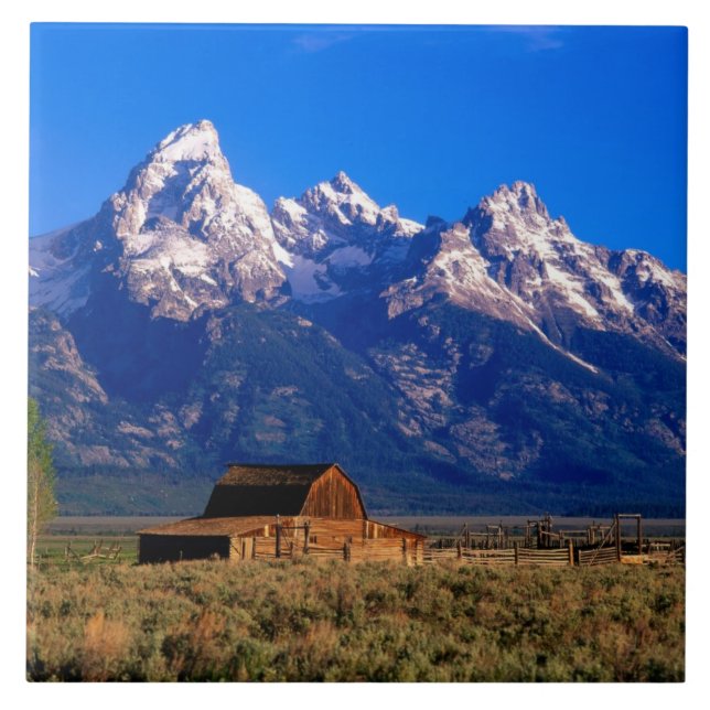 USA, Wyoming, Grand Teton National Park, Morning Fliese (Vorderseite)