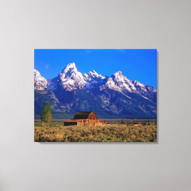 USA, Wyoming, Grand Teton National Park, Morning Leinwanddruck (Vorderseite)