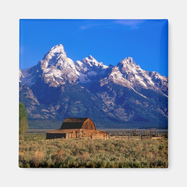 USA, Wyoming, Grand Teton National Park, Morning Magnet (Vorne)