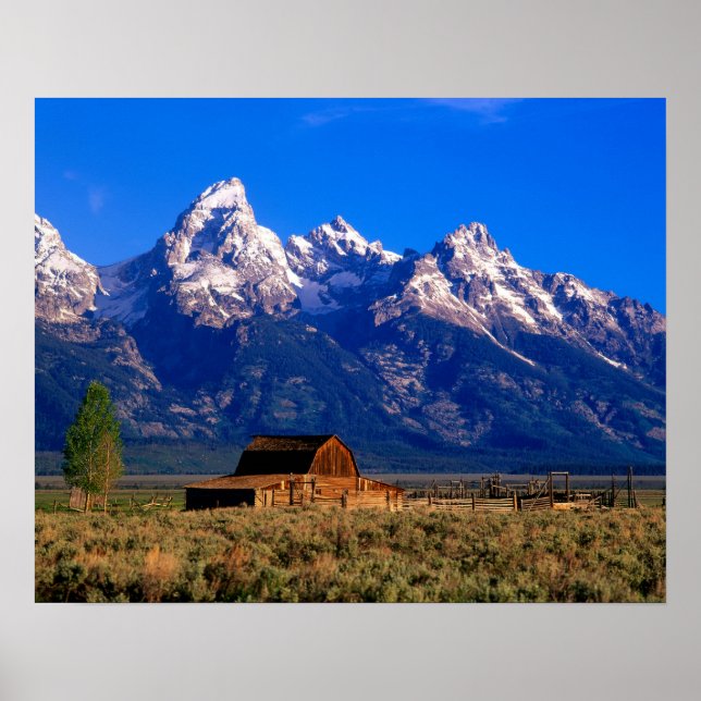 USA, Wyoming, Grand Teton National Park, Morning Poster (Vorne)