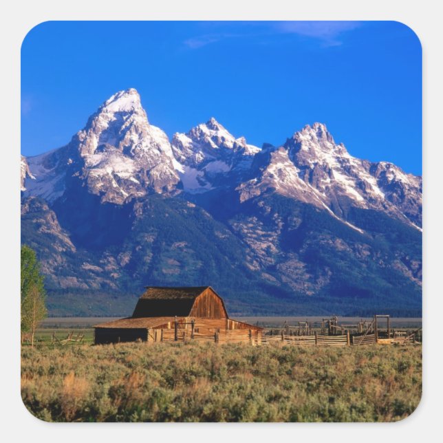 USA, Wyoming, Grand Teton National Park, Morning Quadratischer Aufkleber (Vorderseite)