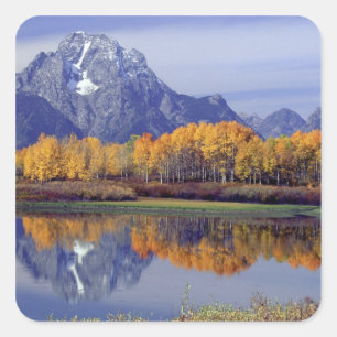 USA, Wyoming, Grand Teton National Park. Mt. Quadratischer Aufkleber