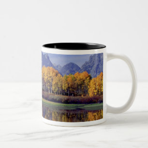 USA, Wyoming, Grand Teton National Park. Mt. Zweifarbige Tasse