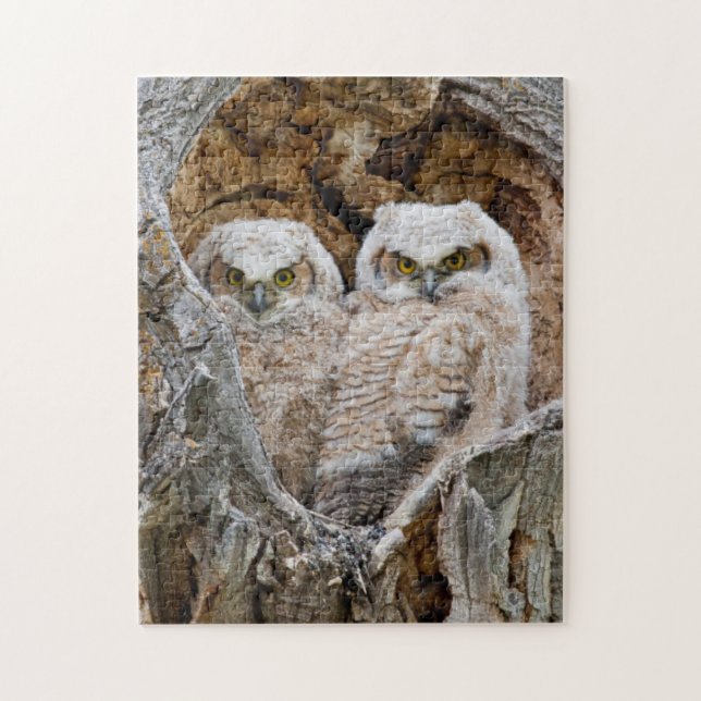 USA, Wyoming, Grand Teton National Park Puzzle (Vertikal)