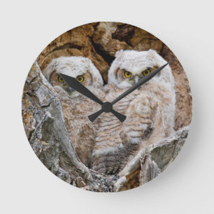 USA, Wyoming, Grand Teton National Park Runde Wanduhr