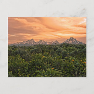 USA, Wyoming, Grand-Teton-Nationalpark 1 Postkarte