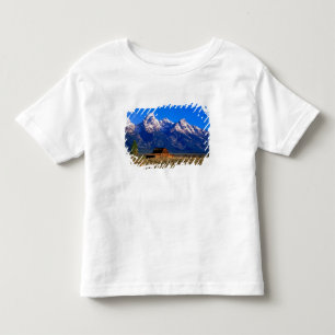 USA, Wyoming, Grand-Teton-Nationalpark, Morgen Kleinkind T-shirt