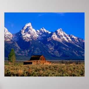 USA, Wyoming, Grand-Teton-Nationalpark, Morgen Poster