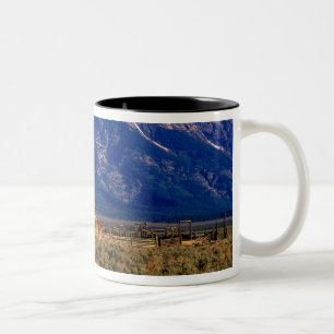 USA, Wyoming, Grand-Teton-Nationalpark, Morgen Zweifarbige Tasse