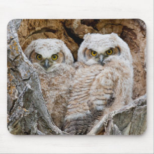 USA, Wyoming, Grand-Teton-Nationalpark Mousepad