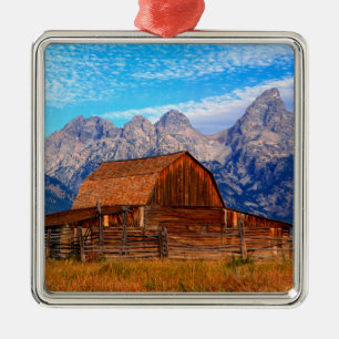 USA, Wyoming, Grand-Teton-Nationalpark. Silbernes Ornament
