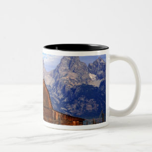 USA, Wyoming, Grand-Teton-Nationalpark. Zweifarbige Tasse