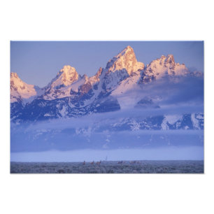 USA, Wyoming, Grand Teton NP, 2 Fotodruck