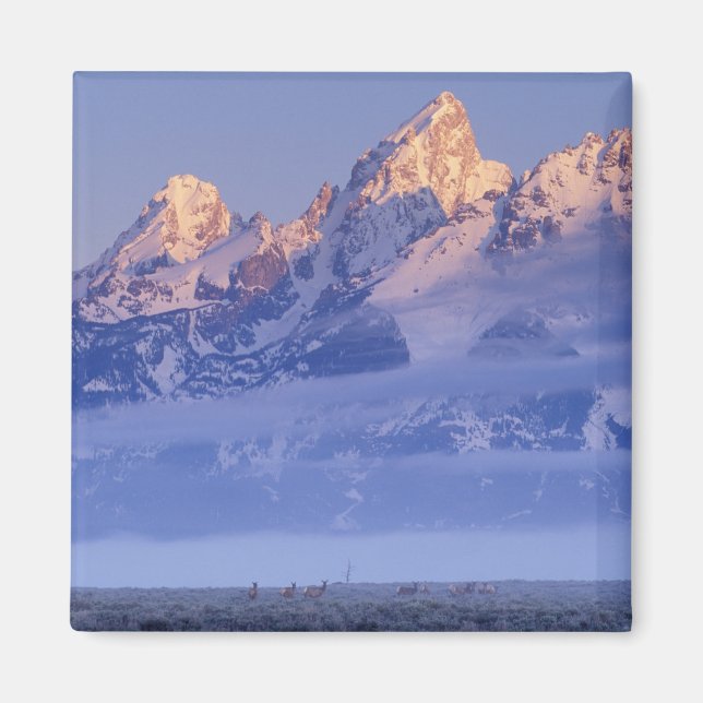 USA, Wyoming, Grand Teton NP, 2 Magnet (Vorne)