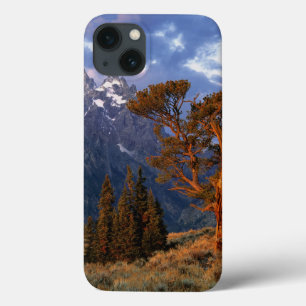 USA, Wyoming, Grand Teton NP. Eine einsame Zeder Case-Mate iPhone Hülle