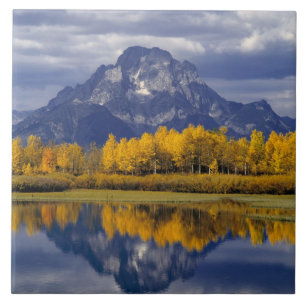 USA, Wyoming, Grand Teton NP. Gegen die Fliese