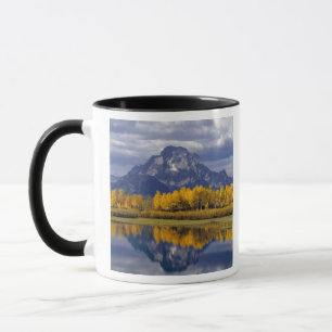 USA, Wyoming, Grand Teton NP. Gegen die Tasse
