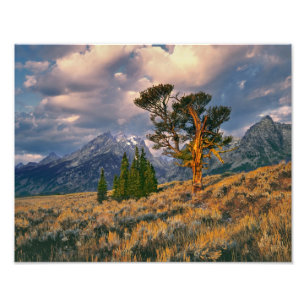 USA, Wyoming, Grand Teton NP. Sonnenaufgang begrüß Fotodruck