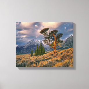 USA, Wyoming, Grand Teton NP. Sonnenaufgang begrüß Leinwanddruck