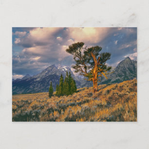 USA, Wyoming, Grand Teton NP. Sonnenaufgang begrüß Postkarte