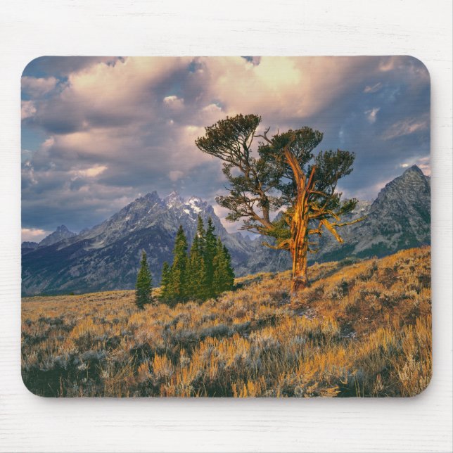 USA, Wyoming, Grand Teton NP. Sonnenaufgang Mousepad (Vorne)