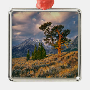 USA, Wyoming, Grand Teton NP. Sonnenaufgang Silbernes Ornament