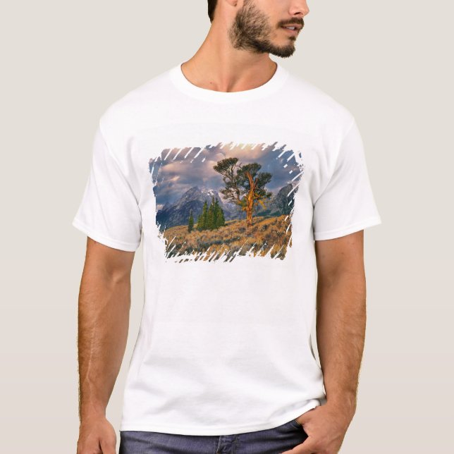 USA, Wyoming, Grand Teton NP. Sonnenaufgang T-Shirt (Vorderseite)