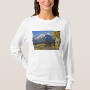 USA, Wyoming, Grand Teton NP. Teton Parkway T-Shirt