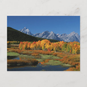 USA, Wyoming, Grand Tetons National Park in Postkarte