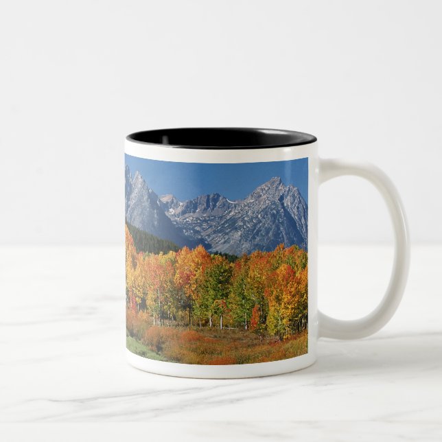 USA, Wyoming, Grand Tetons National Park in Zweifarbige Tasse (Rechts)
