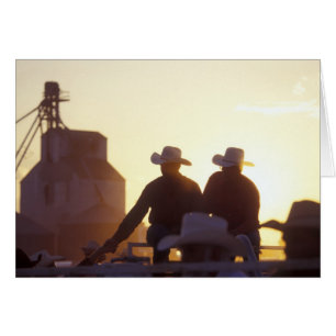 USA, Wyoming, Kiefern-Täuschungen. Erschütterung