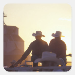 USA, Wyoming, Kiefern-Täuschungen. Erschütterung Quadratischer Aufkleber