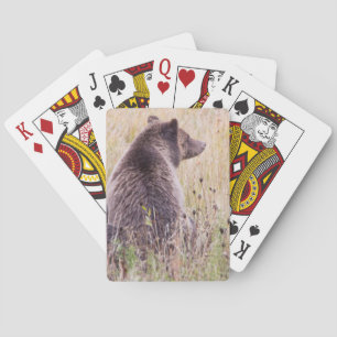 USA, Wyoming, Yellowstone National Park, Grizzly 2 Spielkarten