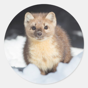 USA, Wyoming, Yellowstone National Park Runder Aufkleber