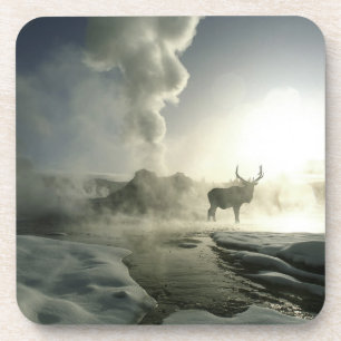 USA, Wyoming, Yellowstone National Park. Sonnenauf Getränkeuntersetzer