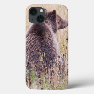 USA, Wyoming, Yellowstone Nationalpark, Grizzly 2 Case-Mate iPhone Hülle