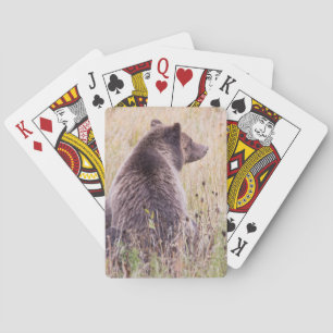 USA, Wyoming, Yellowstone-Nationalpark, Grizzly 2 Spielkarten