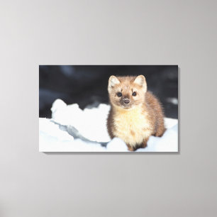 USA, Wyoming, Yellowstone Nationalpark Leinwanddruck