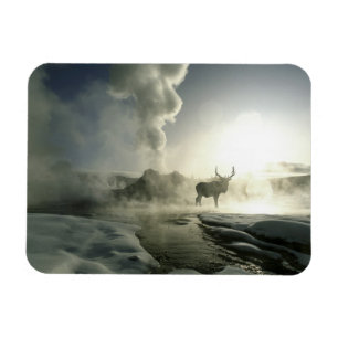 USA, Wyoming, Yellowstone-Nationalpark. Sonnenaufg Magnet