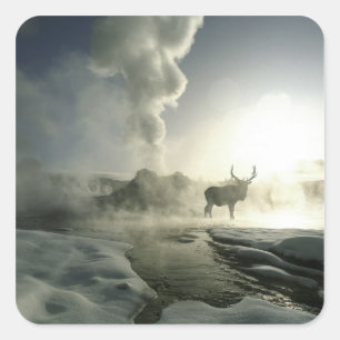 USA, Wyoming, Yellowstone-Nationalpark. Sonnenaufg Quadratischer Aufkleber