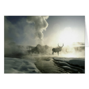 USA, Wyoming, Yellowstone Nationalpark. Sunrise