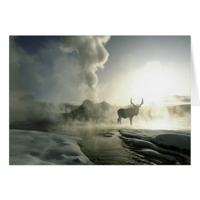 USA, Wyoming, Yellowstone Nationalpark. Sunrise (Vorderseite (Horizontal))