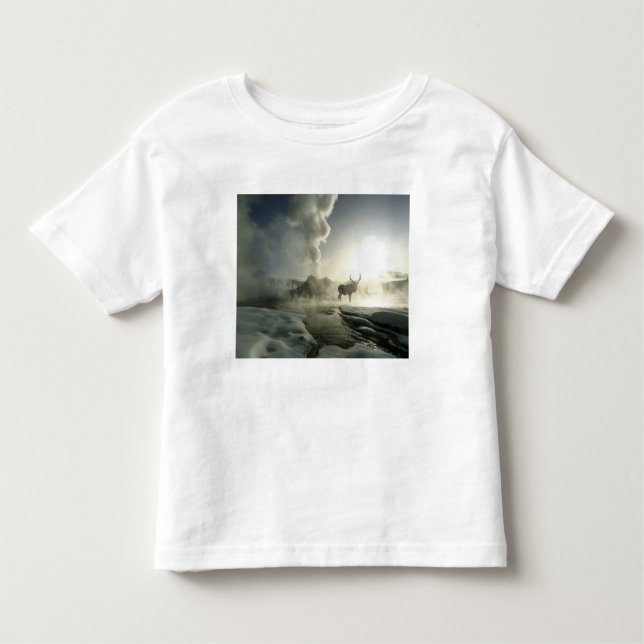 USA, Wyoming, Yellowstone Nationalpark. Sunrise Kleinkind T-shirt (Vorderseite)
