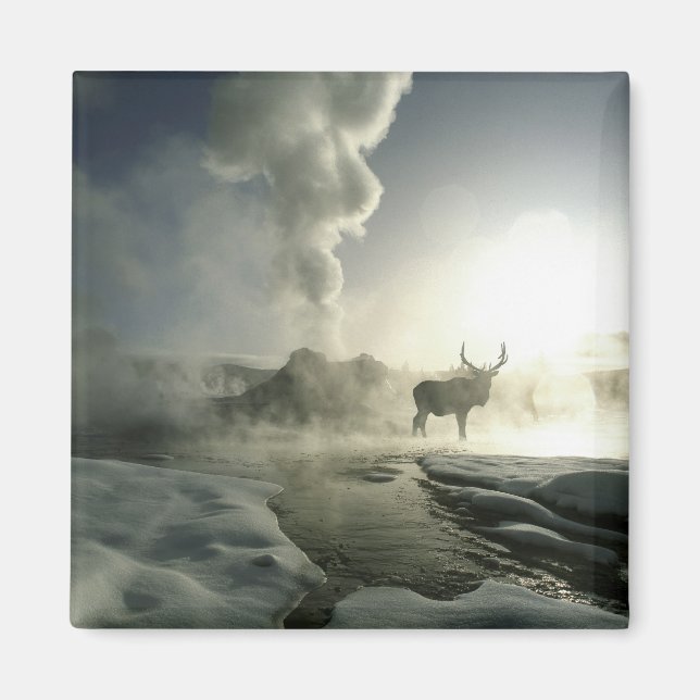 USA, Wyoming, Yellowstone Nationalpark. Sunrise Magnet (Vorne)