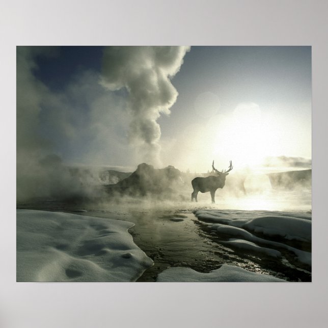 USA, Wyoming, Yellowstone Nationalpark. Sunrise Poster (Vorne)